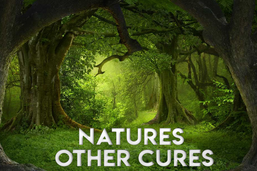 Natures Cure
